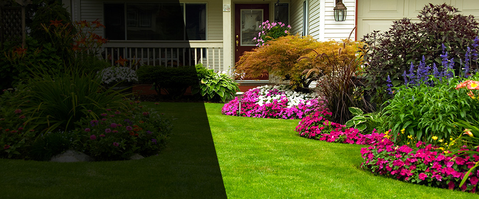 Cocoa Landscapers